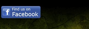 Ace Combat Assault Horizon - Facebook