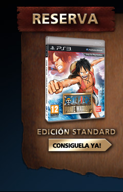 One Piece Pirate Warriors - Edición standard